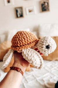 Website-Thumbnail-Fred-The-Turtle